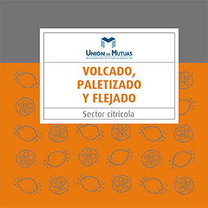 Volcado, paletizado y flejado. Sector citrícola.