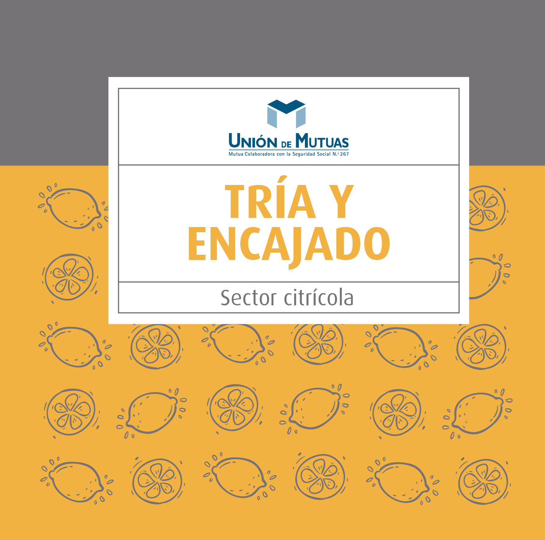 Tría y encajado. Sector citrícola