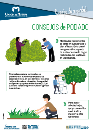 Consejos de podado