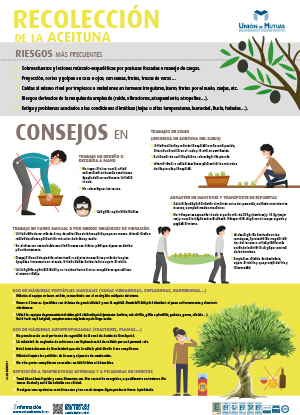 Recolección de la aceituna. Sector del aceite