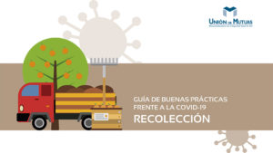 Guía buenas practicas Recolección