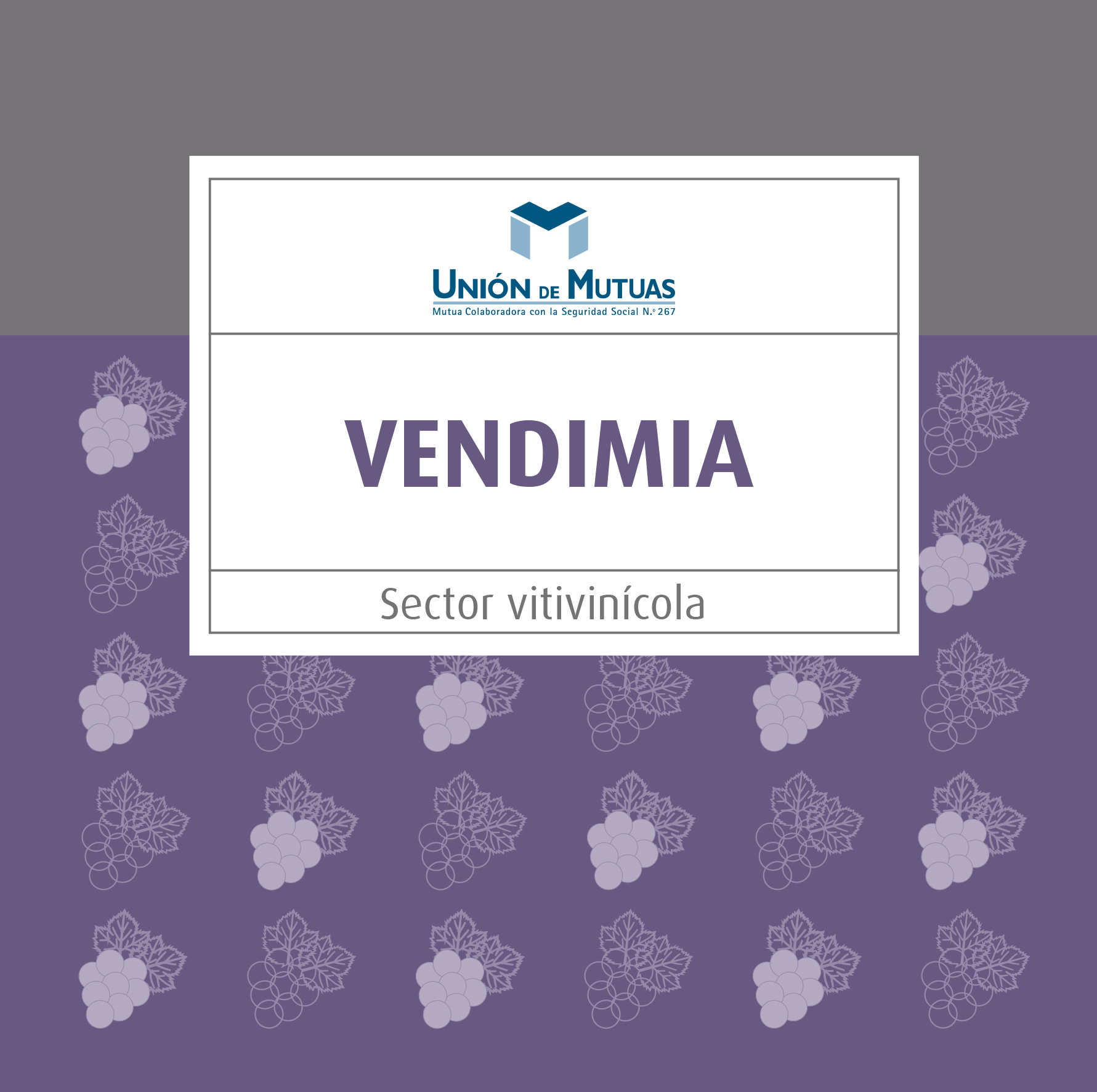 Vendimia. Sector vitivinícola