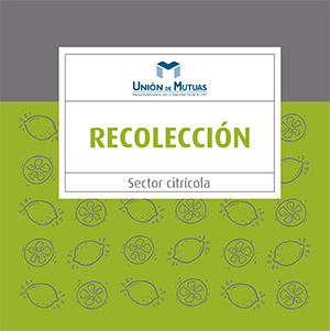 Recolección. Sector citrícola
