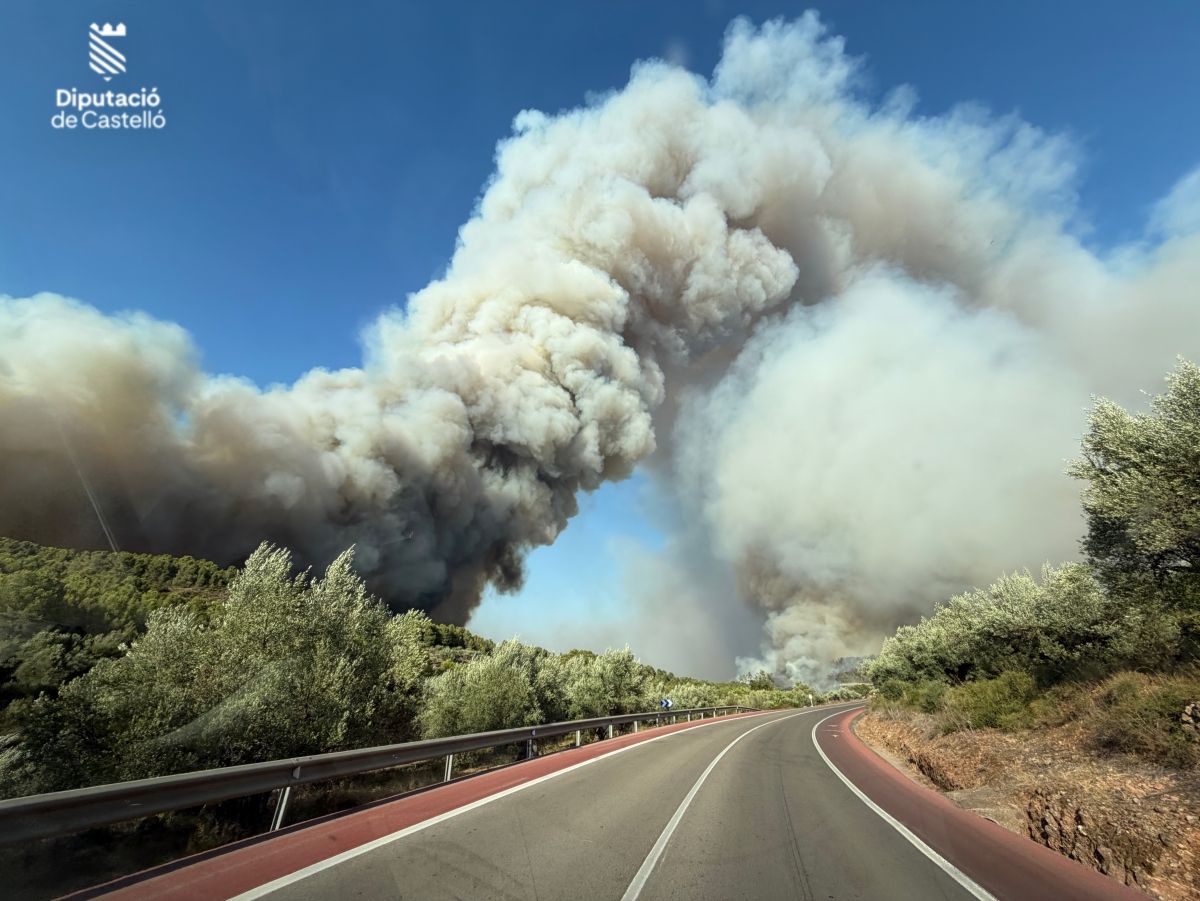 RECOMENDACIONES DE SALUD PÚBLICA ANTE EPISODIOS DE HUMO POR INCENDIOS FORESTALES